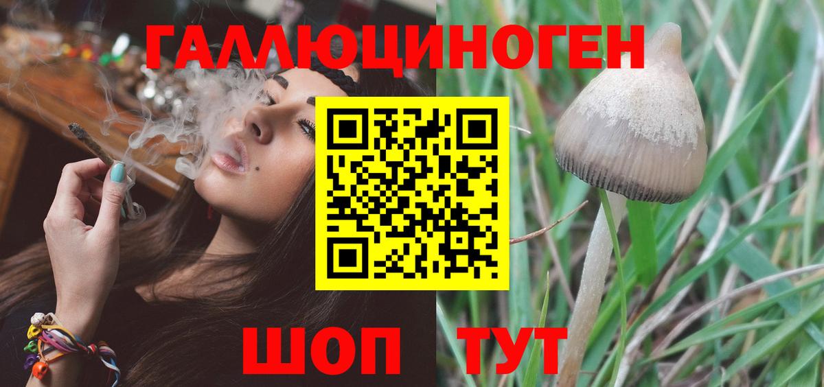 Псилоцибиновые грибы ЛСД  Вход с VPN  Зима  Галлюциногенные грибы Psilocybe 